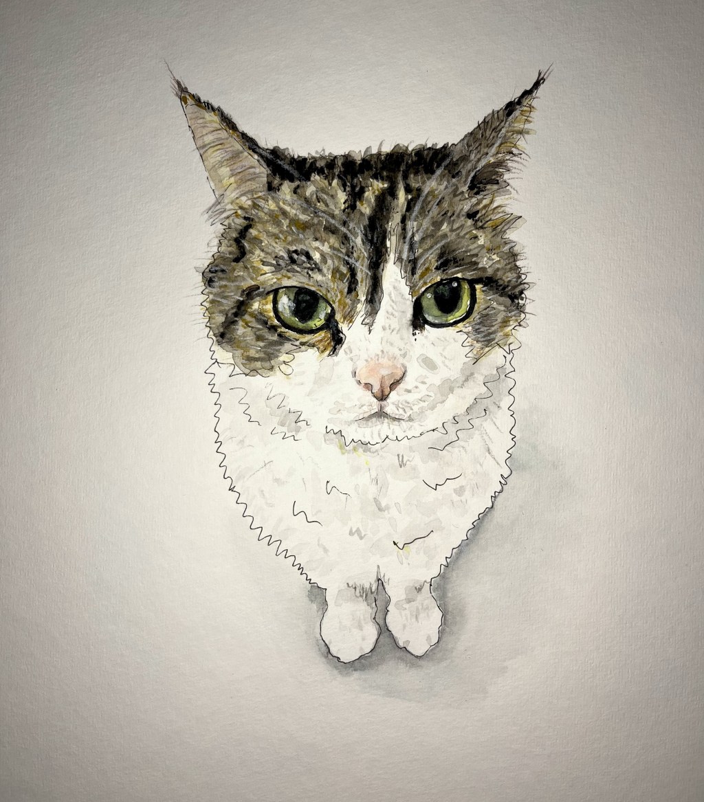 Painting a very cute cat!