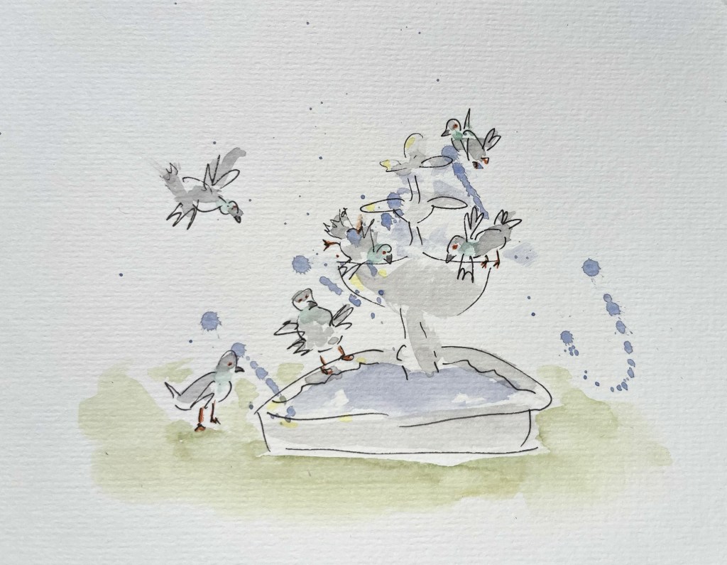 Fun Scribbles – Pigeon&nbsp;Chaos!