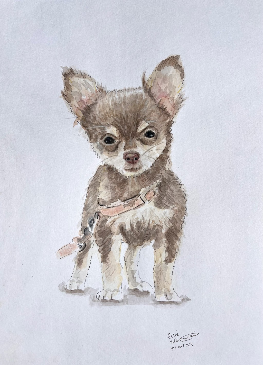 Painting Ellie the&nbsp;Chihuahua