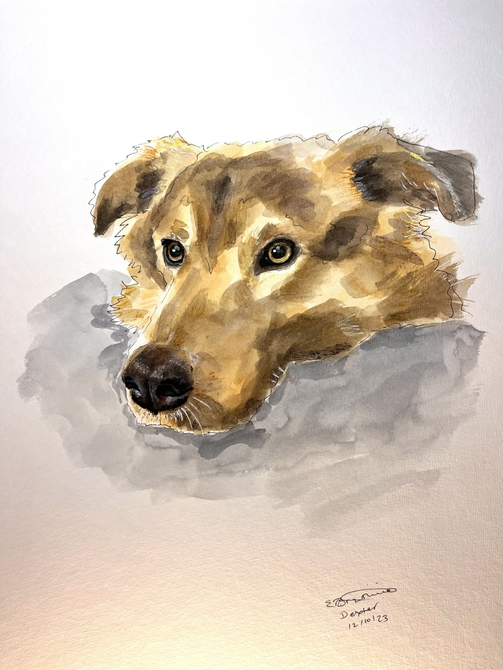 Painting Dexter the Romanian&nbsp;Dog