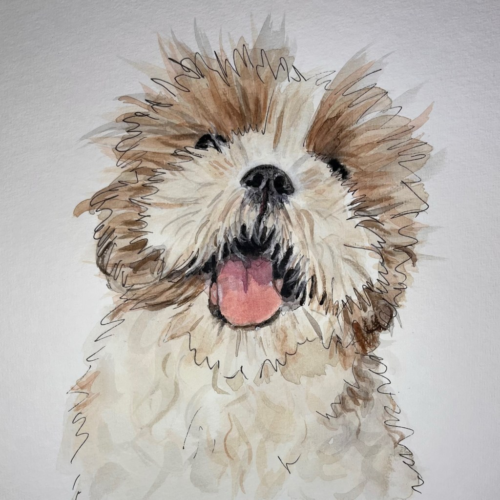 Painting Fluffy the Shih&nbsp;Tzu