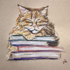 cat sleeping on a pile of books